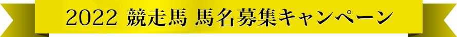 馬名募集！